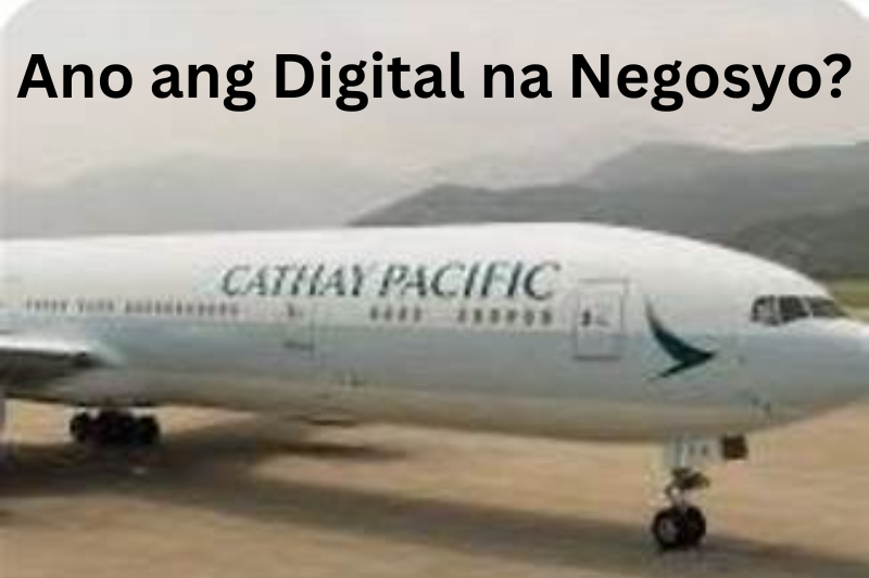 Ano ang Digital na Negosyo